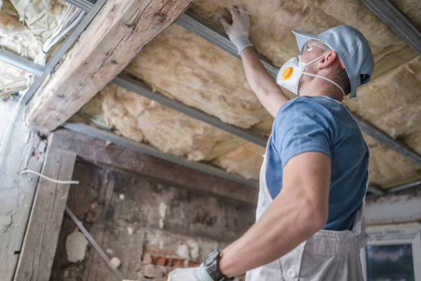 Best Local Insulation Services  in Interlachen, FL