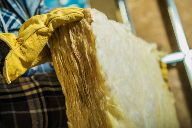 Best Attic Insulation Installation  in Interlachen, FL