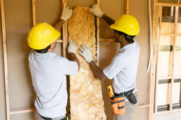 Best Insulation Contractor Near Me  in Interlachen, FL