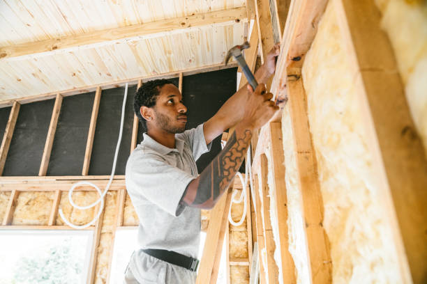 Insulation Replacement Services in Interlachen, FL
