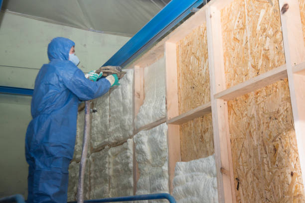 Best Insulation for New Construction  in Interlachen, FL