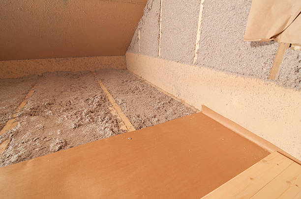Best Home Insulation Services  in Interlachen, FL