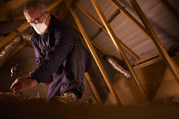 Best Insulation for New Construction  in Interlachen, FL